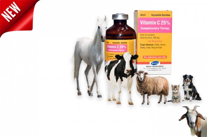 دریافت پروانه ساخت سیتاجکت